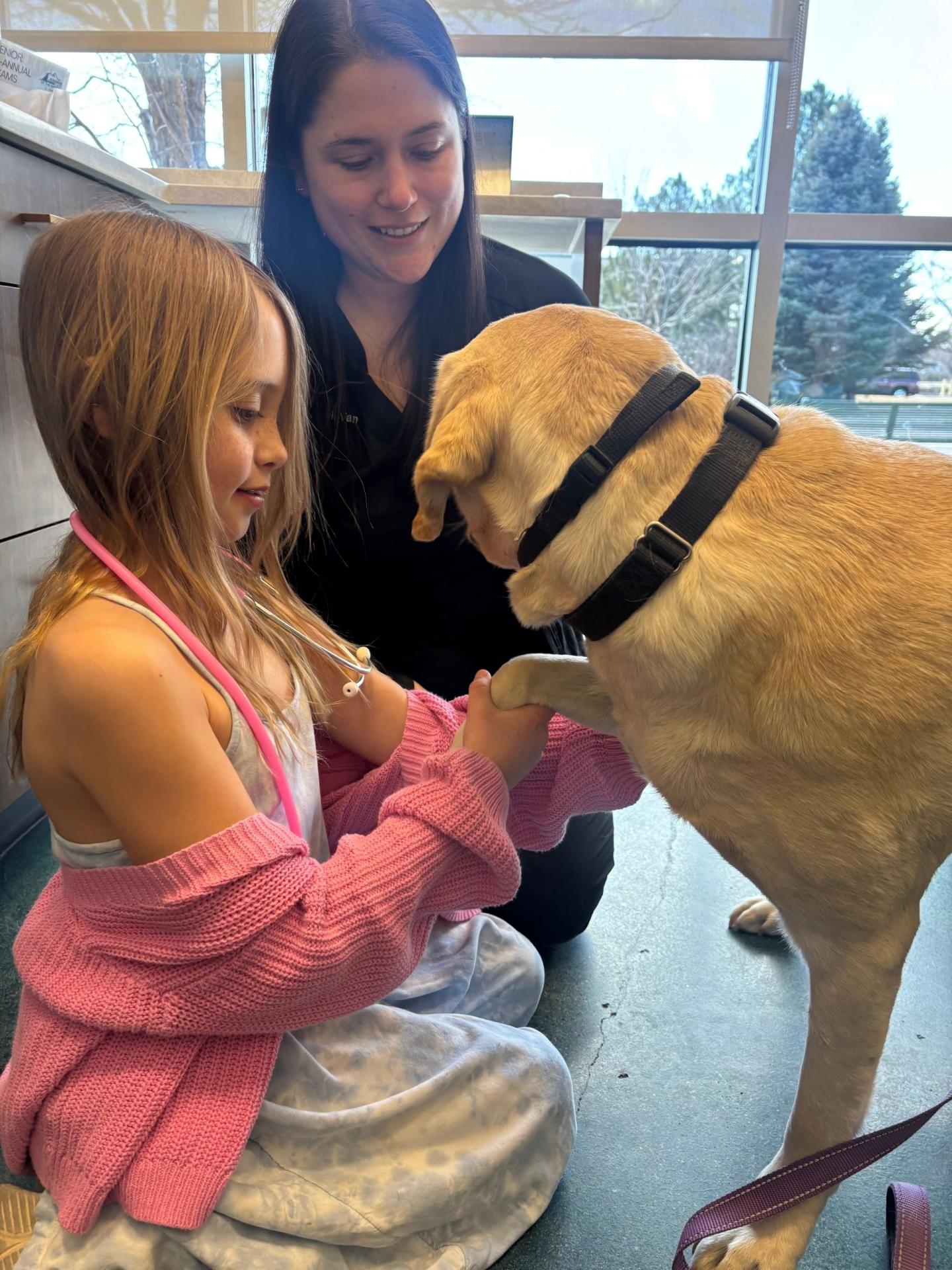 Junior Vet Spotlight: Summer Summer is assisting as our "Vet for a Day" with a yellow lab. She is being supervised by one of our team members as she learns about becoming a Vet!